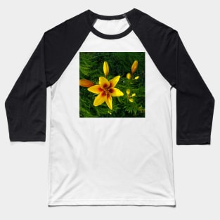 Yellow stargazer lily Baseball T-Shirt